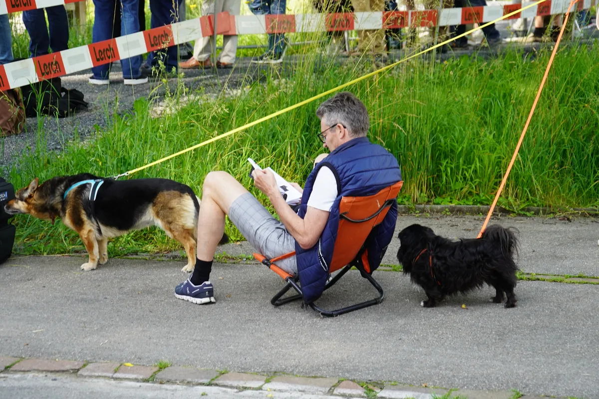 Transport von Brueckenplatte über dem Aabach in Niederuster.